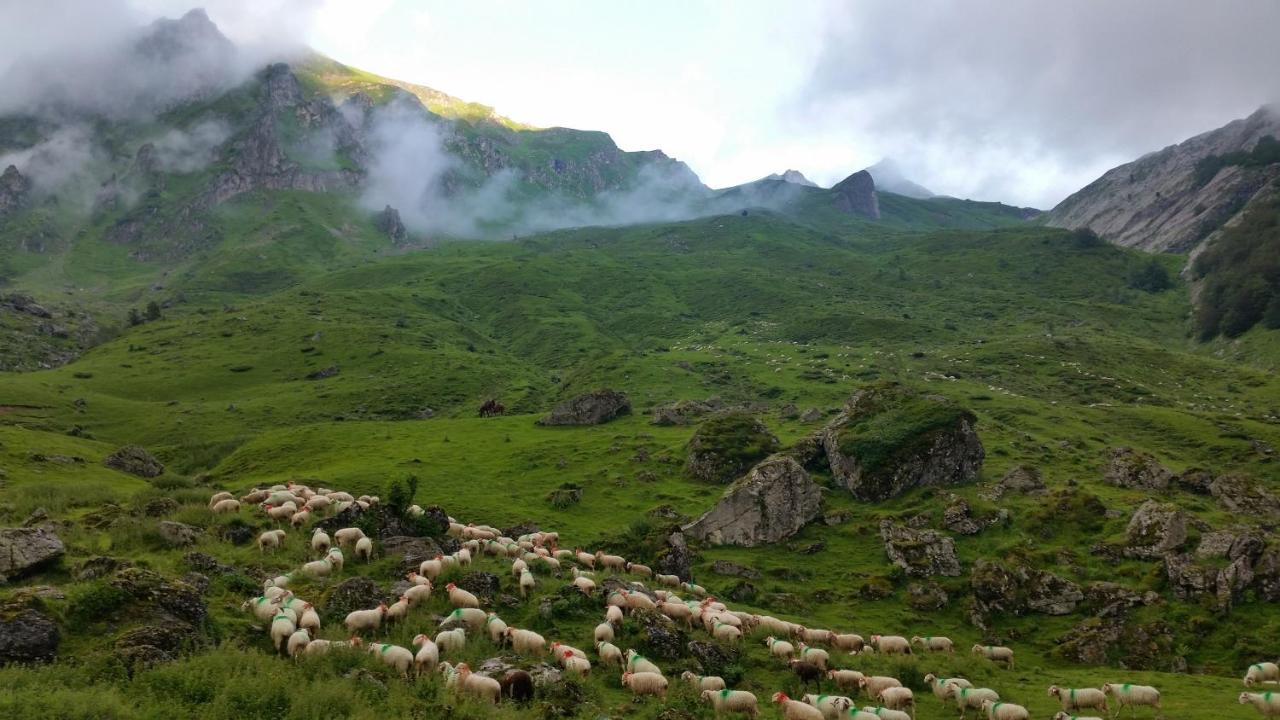 Gite De Montagne Du Plateau De Lhers- Accueil Randonneurs Accous ภายนอก รูปภาพ