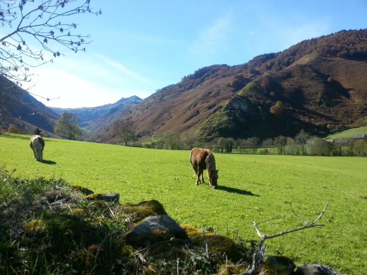 Gite De Montagne Du Plateau De Lhers- Accueil Randonneurs Accous ภายนอก รูปภาพ