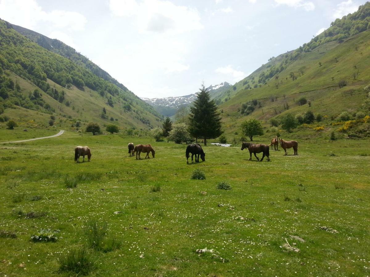 Gite De Montagne Du Plateau De Lhers- Accueil Randonneurs Accous ภายนอก รูปภาพ