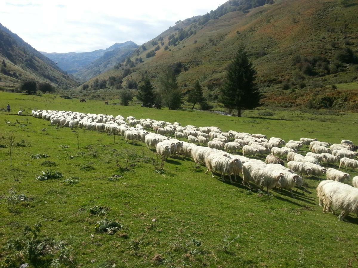 Gite De Montagne Du Plateau De Lhers- Accueil Randonneurs Accous ภายนอก รูปภาพ