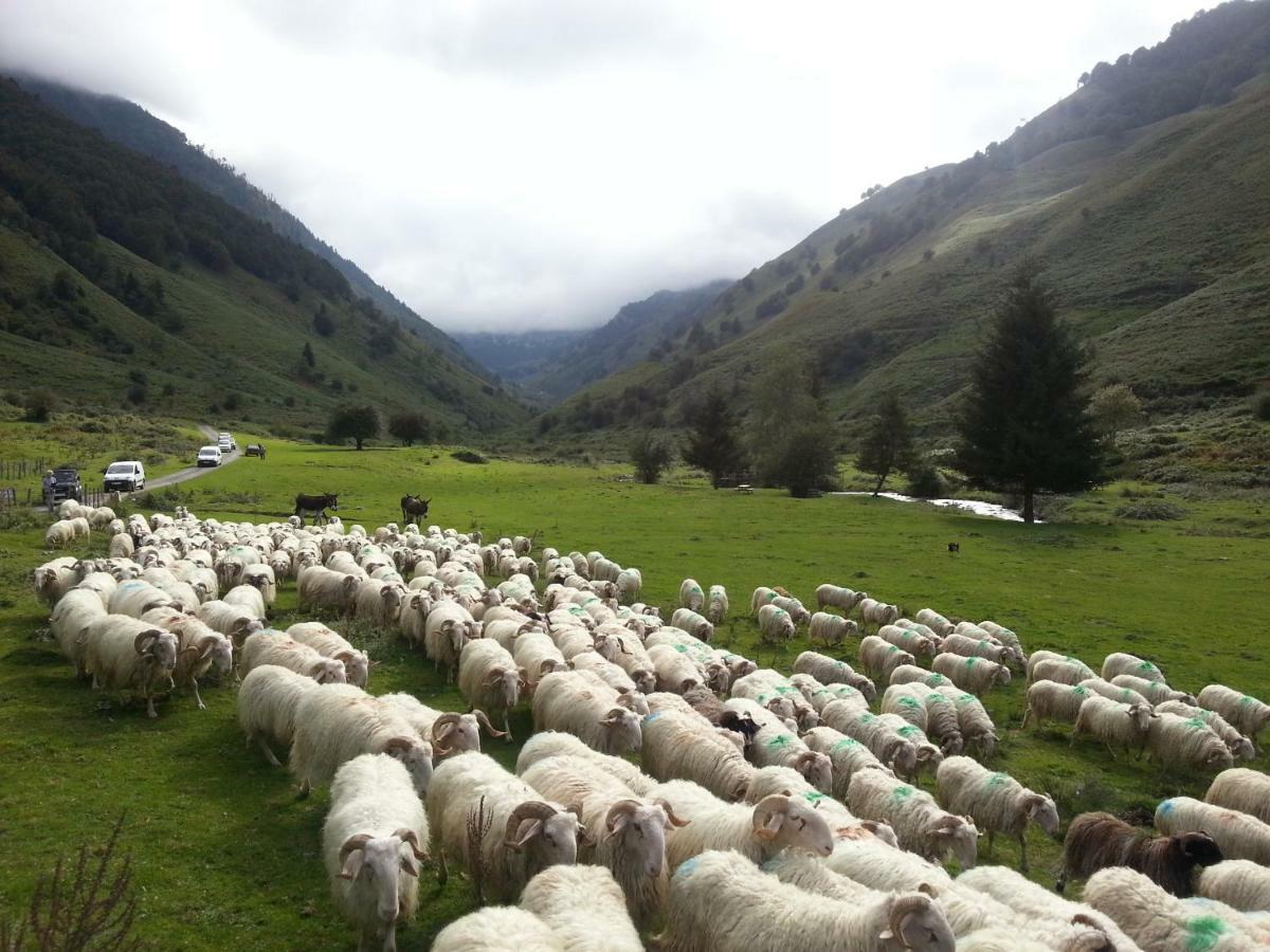 Gite De Montagne Du Plateau De Lhers- Accueil Randonneurs Accous ภายนอก รูปภาพ